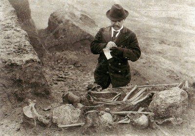 Archeologické sbírky