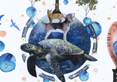 Koláž v zahradě. Kočka, pes a želva.